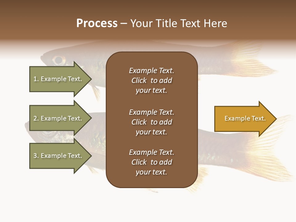 Animal Fauna Asian PowerPoint Template