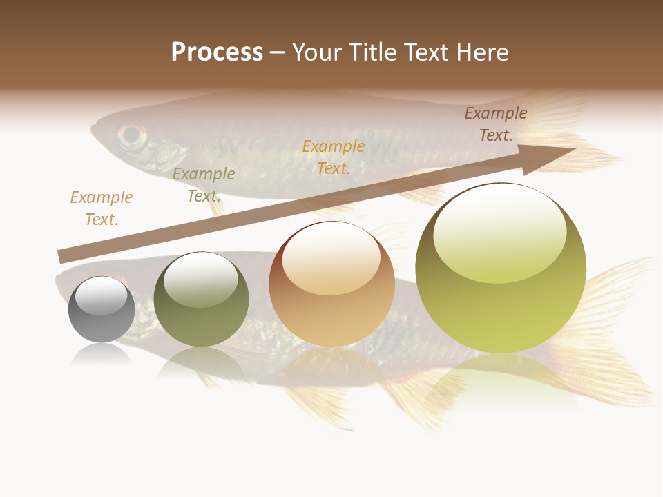 Animal Fauna Asian PowerPoint Template