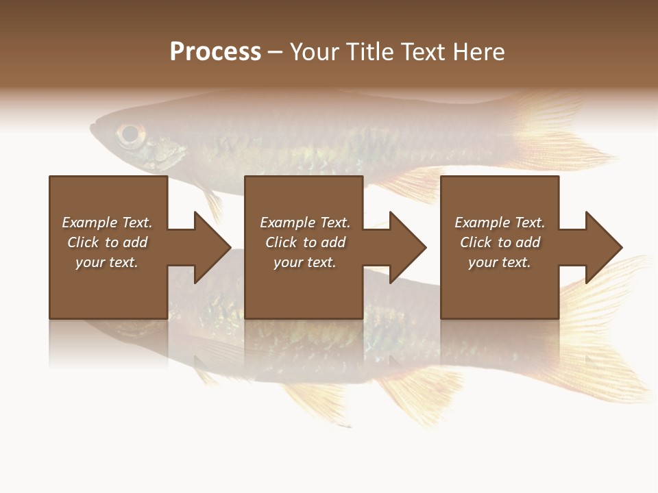Animal Fauna Asian PowerPoint Template