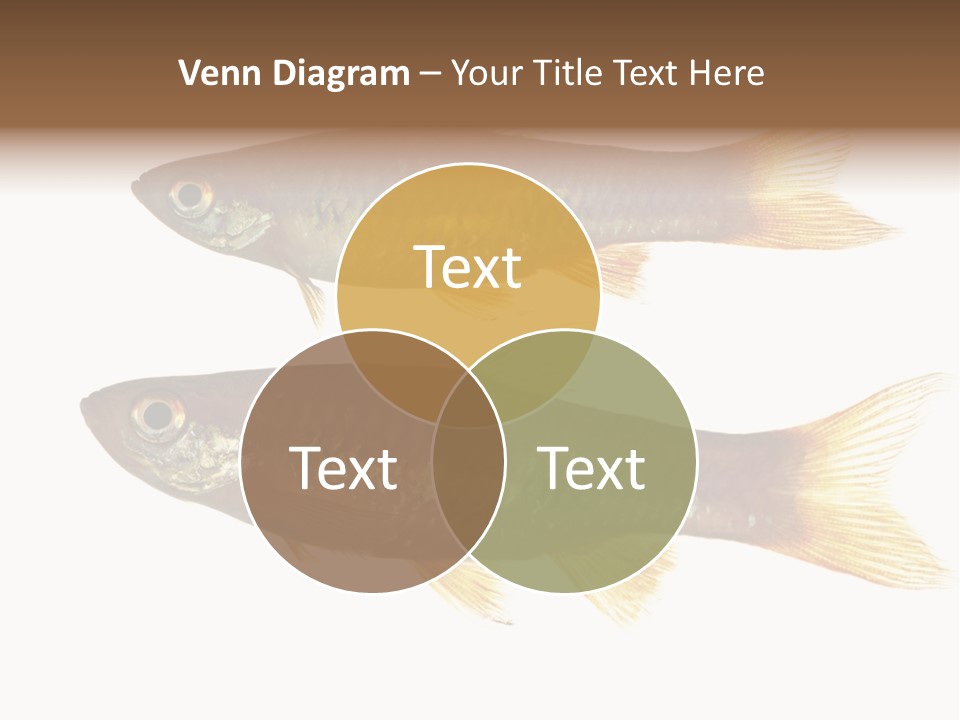 Animal Fauna Asian PowerPoint Template