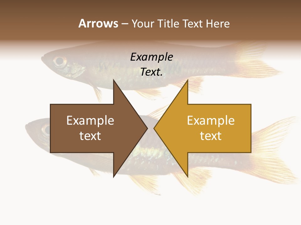 Animal Fauna Asian PowerPoint Template