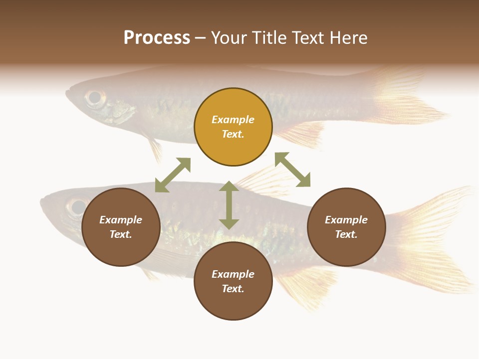 Animal Fauna Asian PowerPoint Template