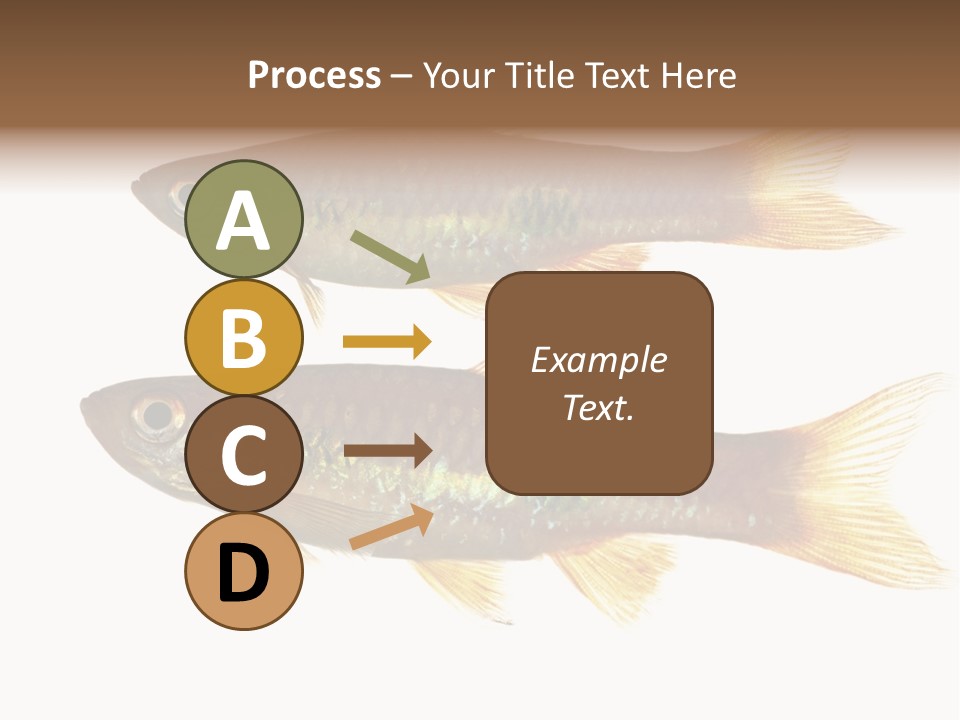 Animal Fauna Asian PowerPoint Template