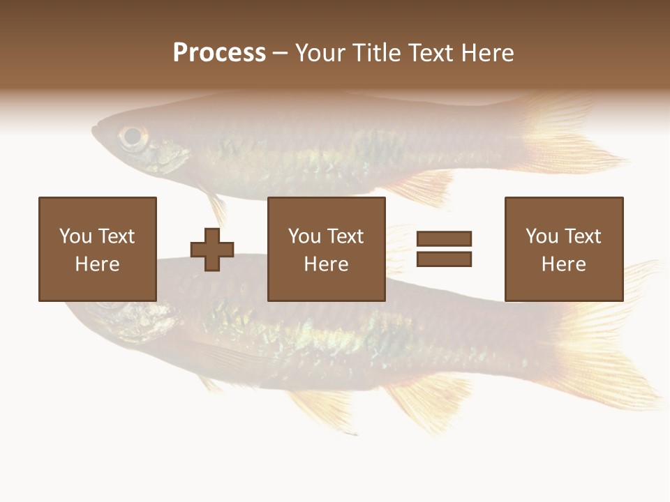 Animal Fauna Asian PowerPoint Template