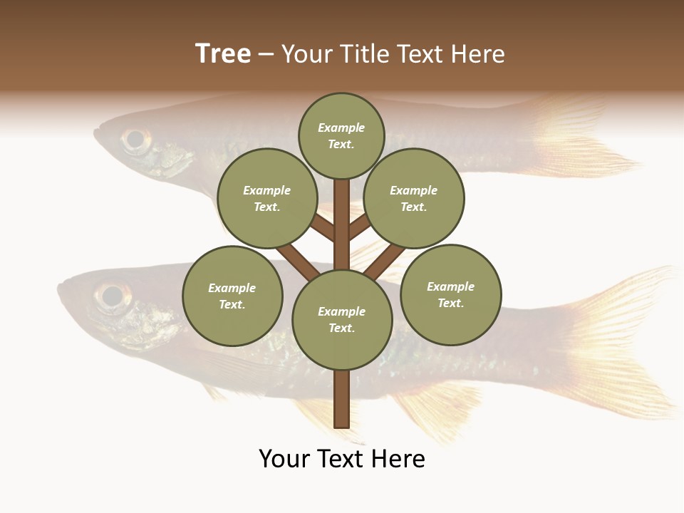 Animal Fauna Asian PowerPoint Template