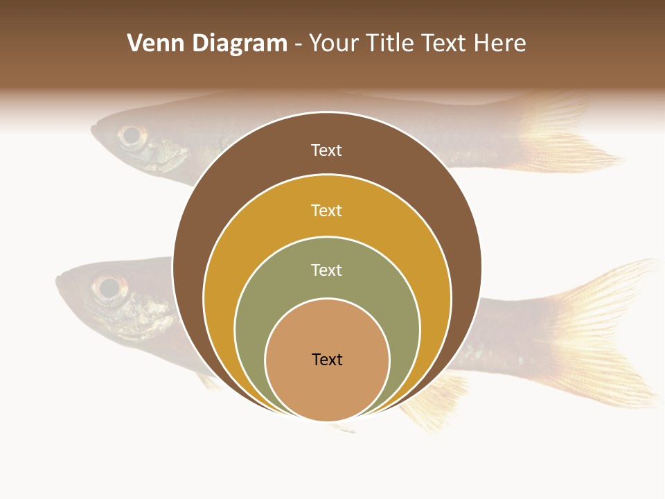 Animal Fauna Asian PowerPoint Template