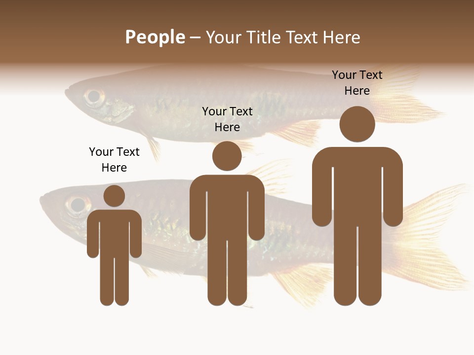 Animal Fauna Asian PowerPoint Template