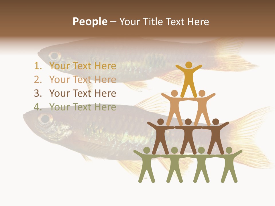 Animal Fauna Asian PowerPoint Template