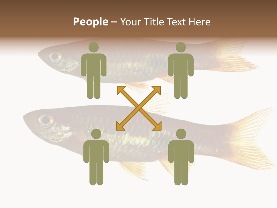 Animal Fauna Asian PowerPoint Template