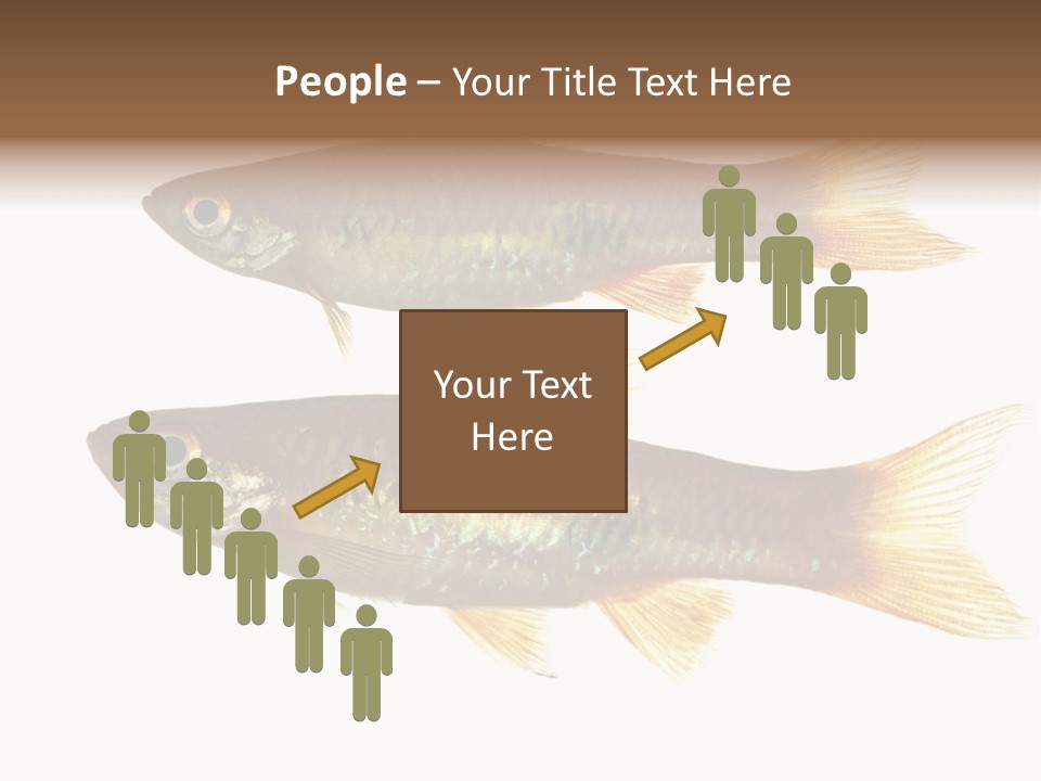 Animal Fauna Asian PowerPoint Template