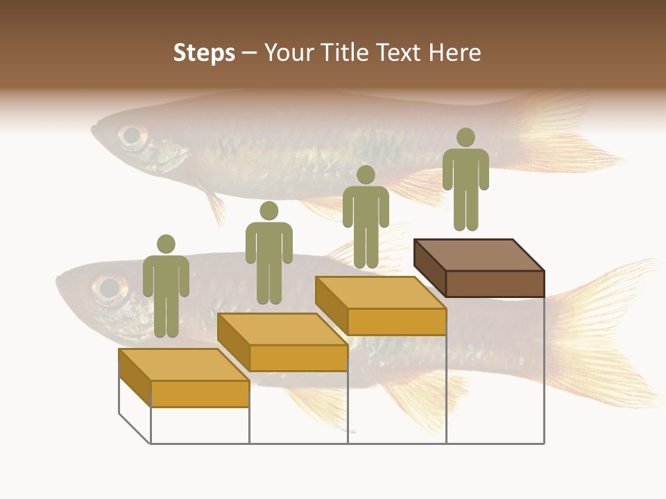 Animal Fauna Asian PowerPoint Template