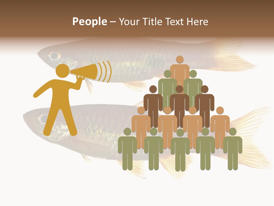 Animal Fauna Asian PowerPoint Template