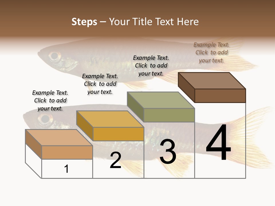 Animal Fauna Asian PowerPoint Template