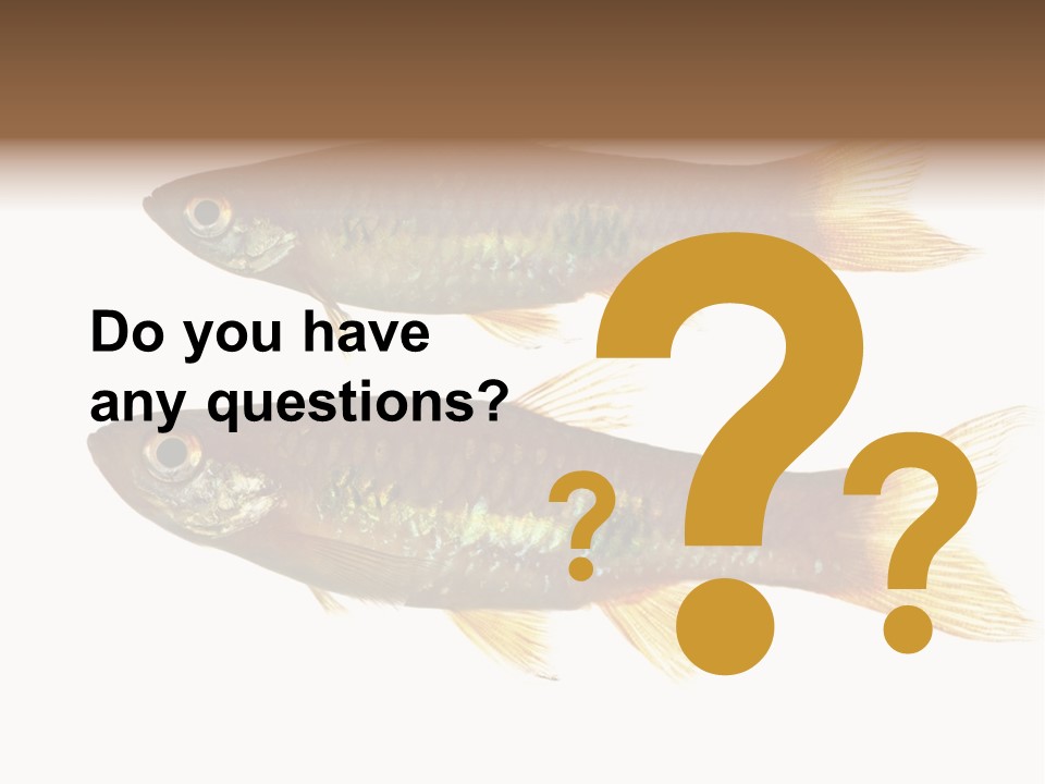 Animal Fauna Asian PowerPoint Template