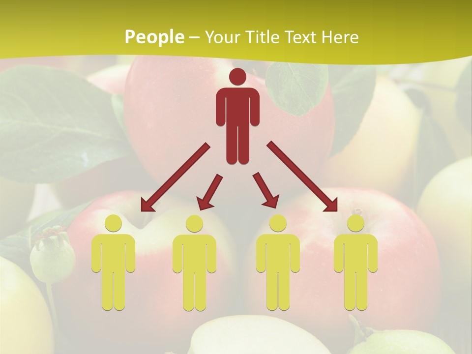 Raw Fresh Assortment PowerPoint Template