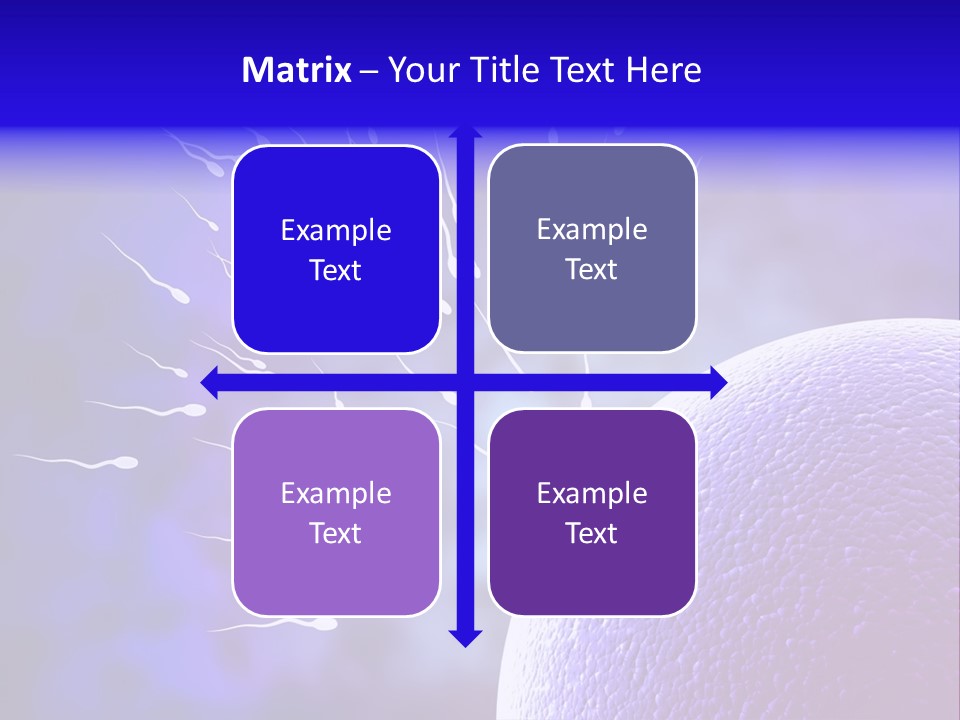 Cell Birth Fertilisation PowerPoint Template