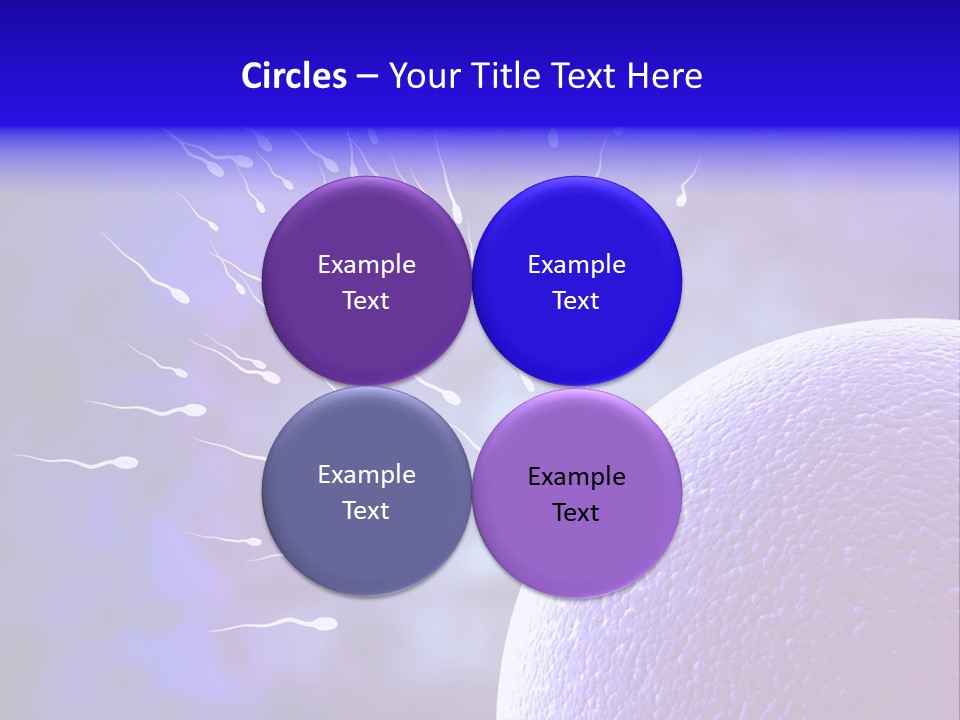 Cell Birth Fertilisation PowerPoint Template
