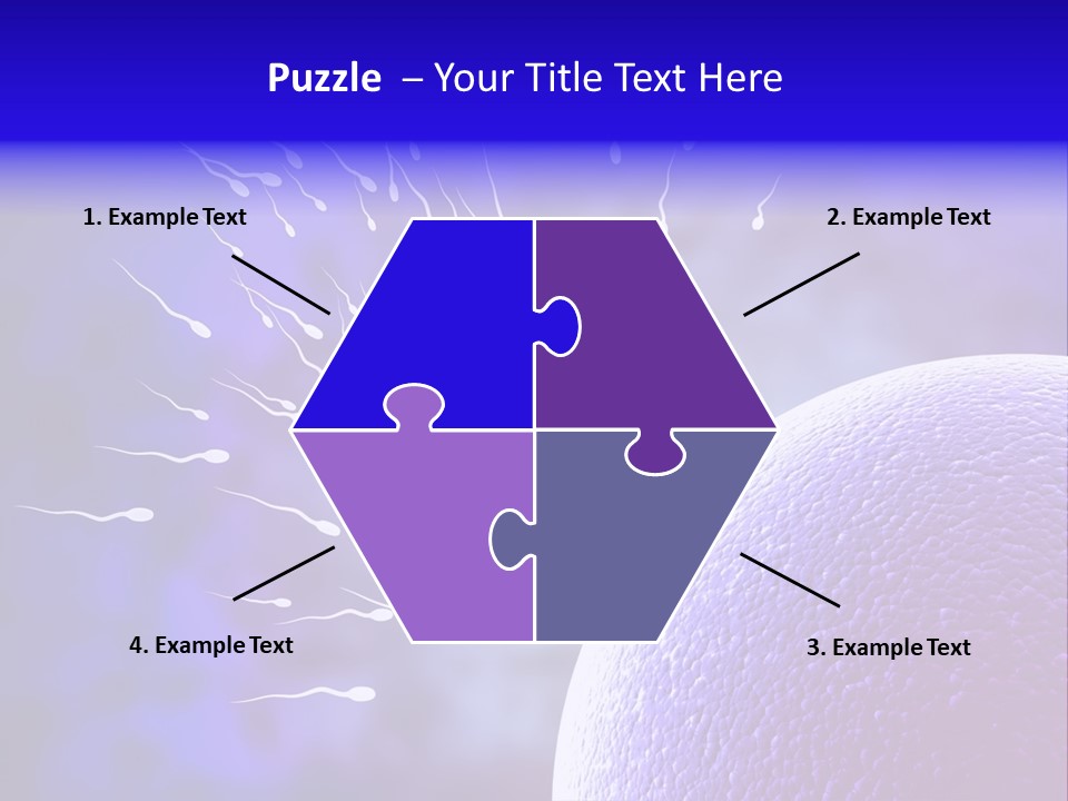 Cell Birth Fertilisation PowerPoint Template