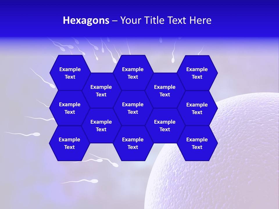 Cell Birth Fertilisation PowerPoint Template