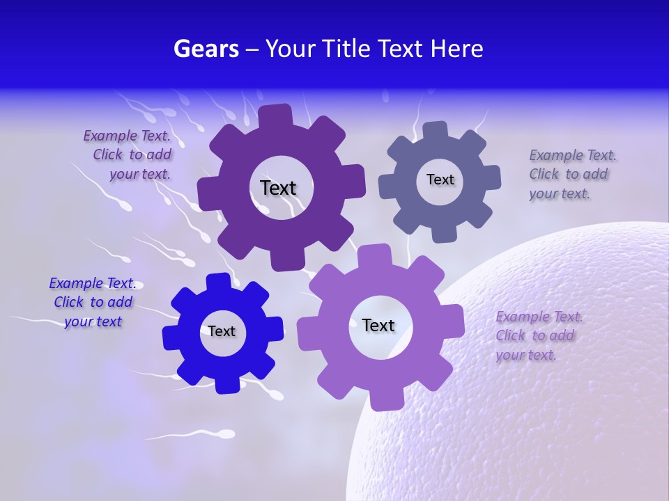 Cell Birth Fertilisation PowerPoint Template