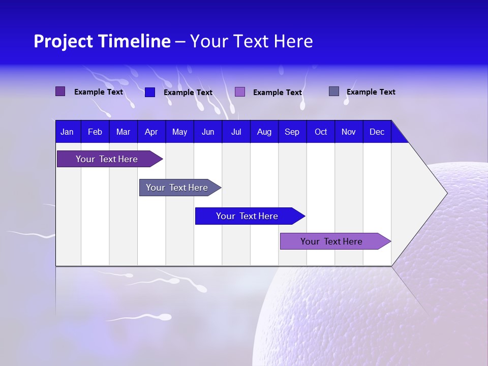Cell Birth Fertilisation PowerPoint Template