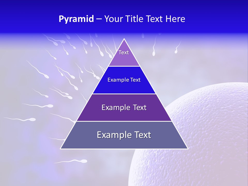 Cell Birth Fertilisation PowerPoint Template