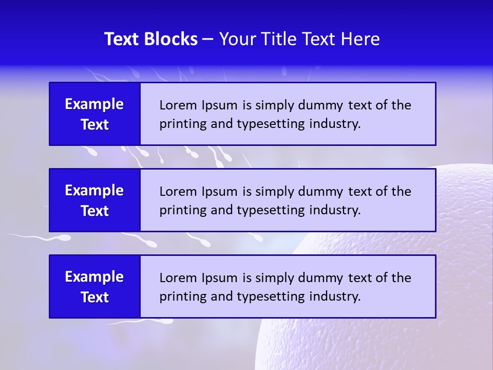 Cell Birth Fertilisation PowerPoint Template