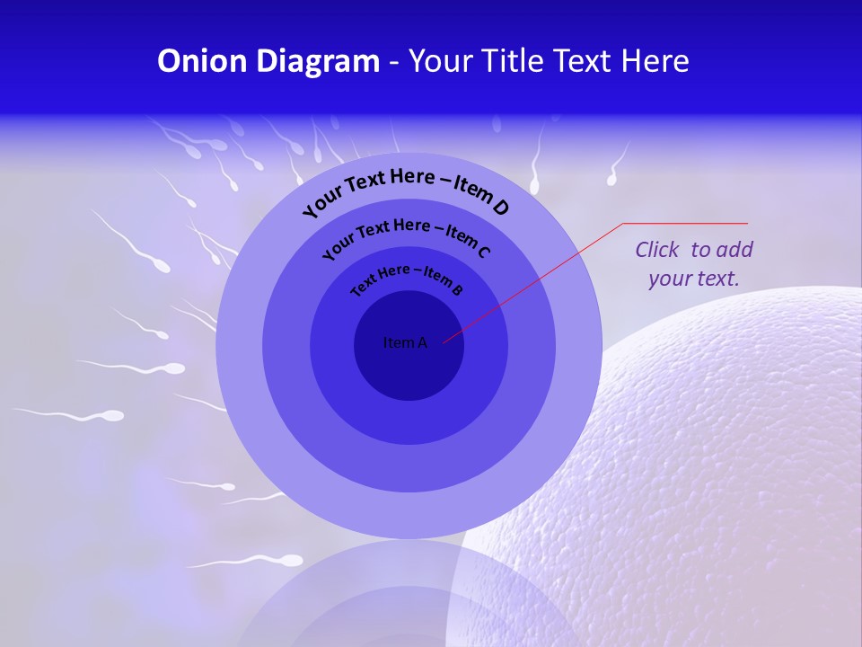 Cell Birth Fertilisation PowerPoint Template