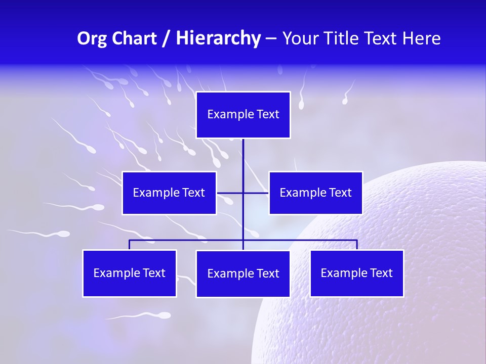 Cell Birth Fertilisation PowerPoint Template