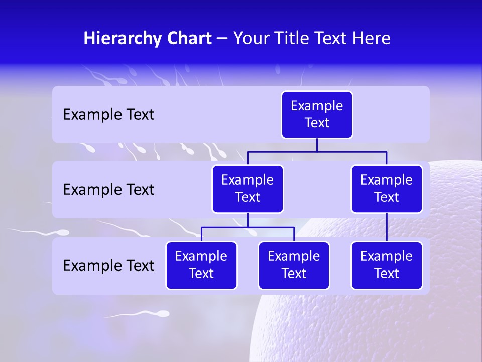 Cell Birth Fertilisation PowerPoint Template