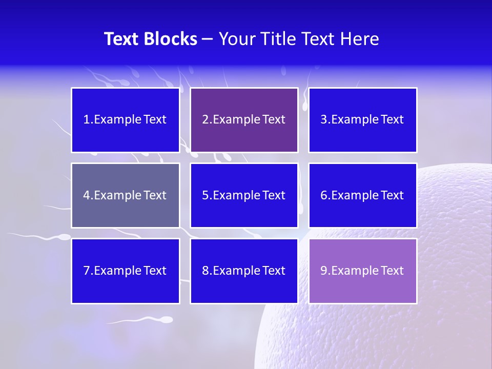 Cell Birth Fertilisation PowerPoint Template
