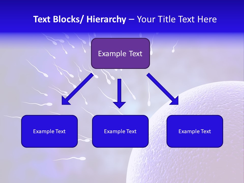 Cell Birth Fertilisation PowerPoint Template
