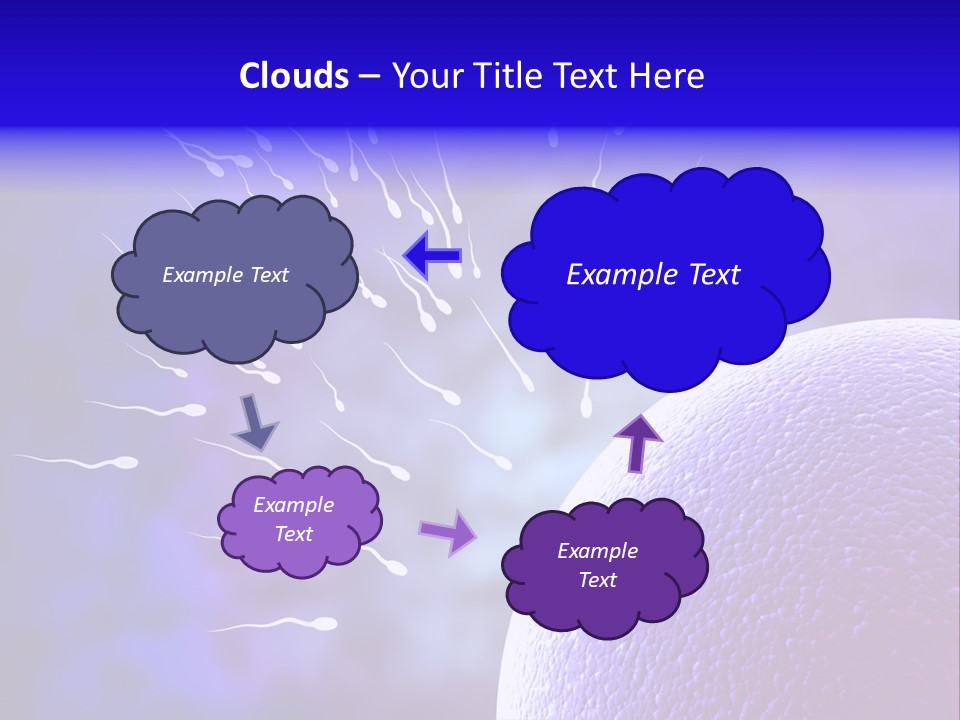 Cell Birth Fertilisation PowerPoint Template
