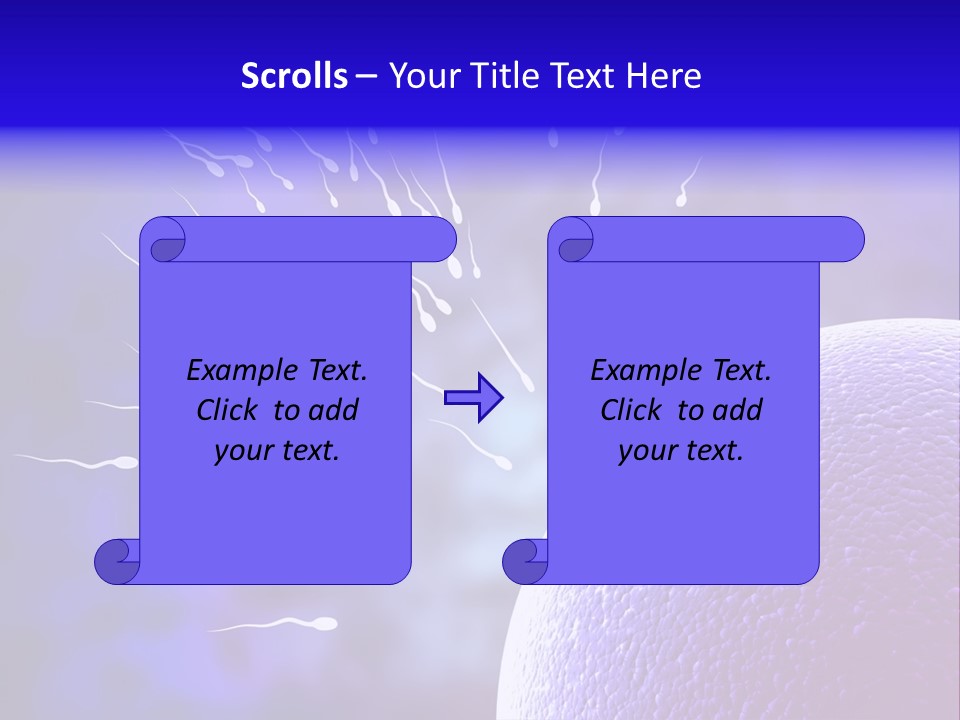 Cell Birth Fertilisation PowerPoint Template