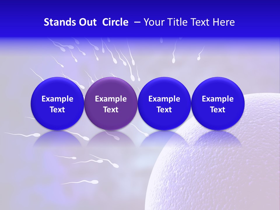 Cell Birth Fertilisation PowerPoint Template