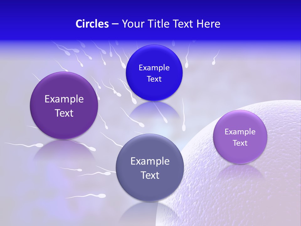 Cell Birth Fertilisation PowerPoint Template