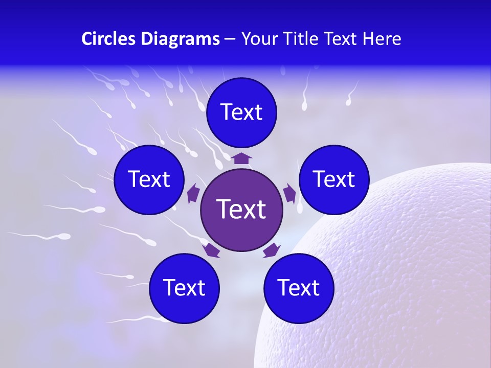 Cell Birth Fertilisation PowerPoint Template