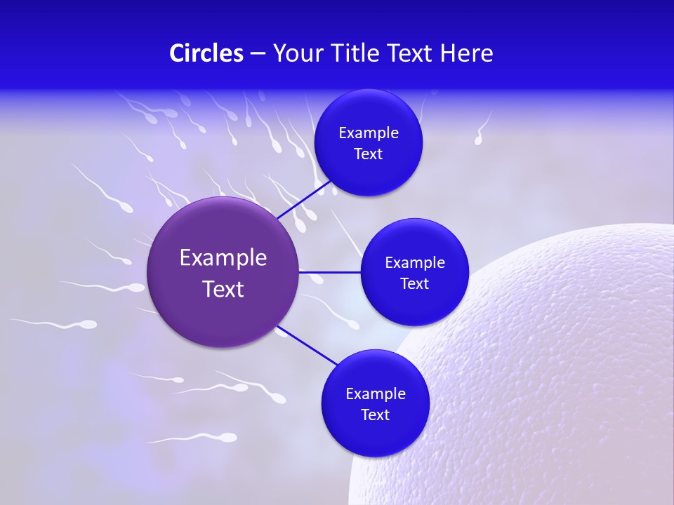 Cell Birth Fertilisation PowerPoint Template