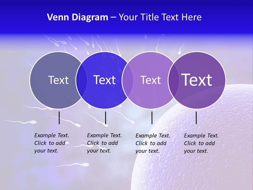 Cell Birth Fertilisation PowerPoint Template