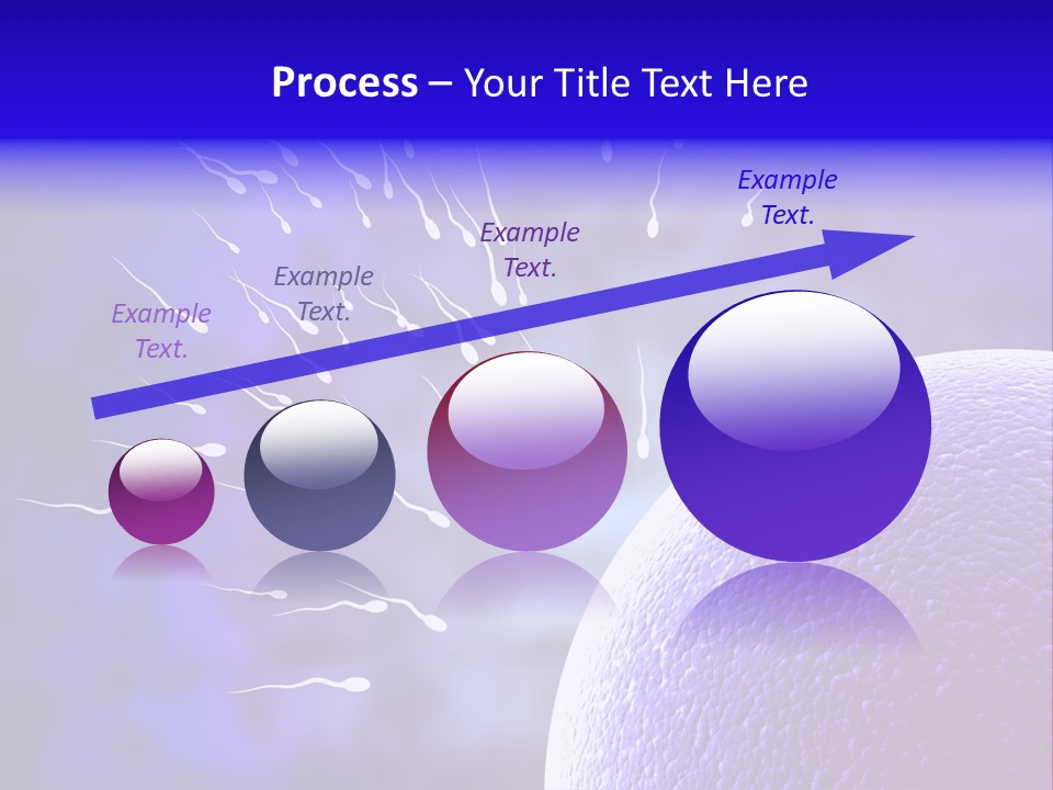 Cell Birth Fertilisation PowerPoint Template