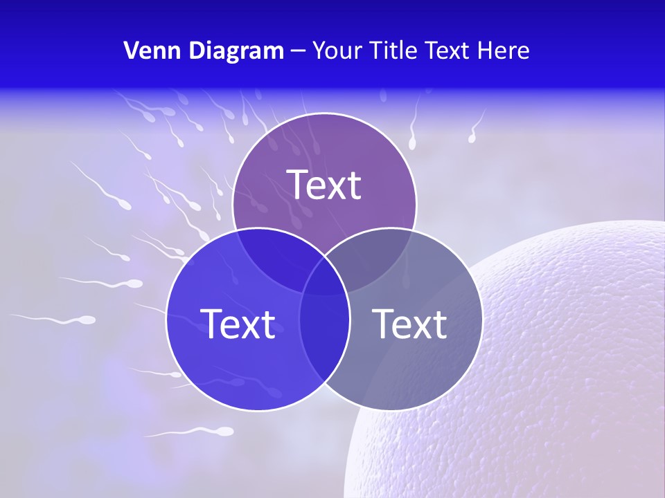 Cell Birth Fertilisation PowerPoint Template