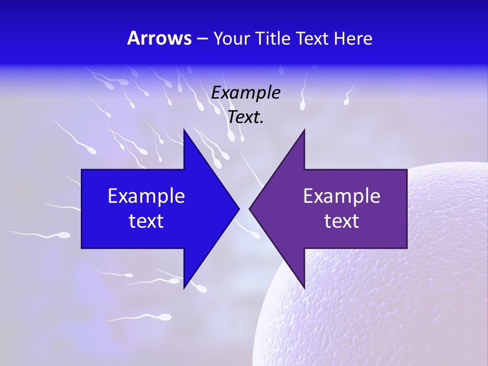 Cell Birth Fertilisation PowerPoint Template