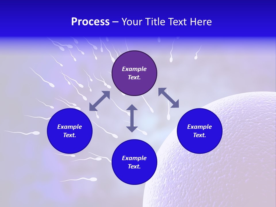 Cell Birth Fertilisation PowerPoint Template