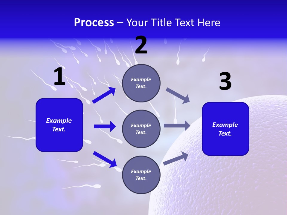 Cell Birth Fertilisation PowerPoint Template