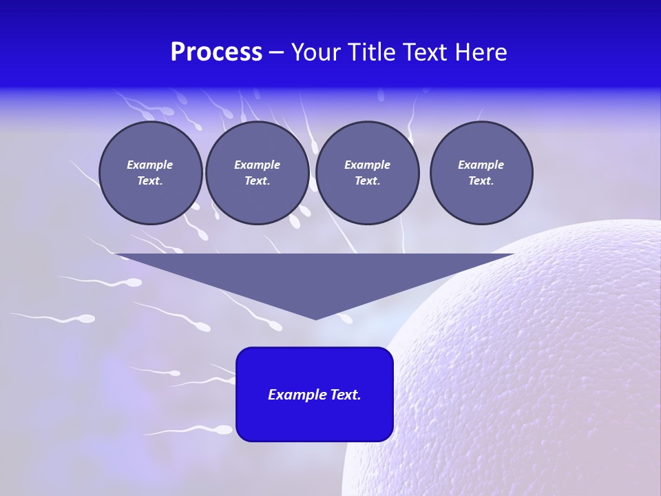 Cell Birth Fertilisation PowerPoint Template