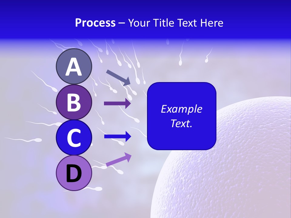 Cell Birth Fertilisation PowerPoint Template