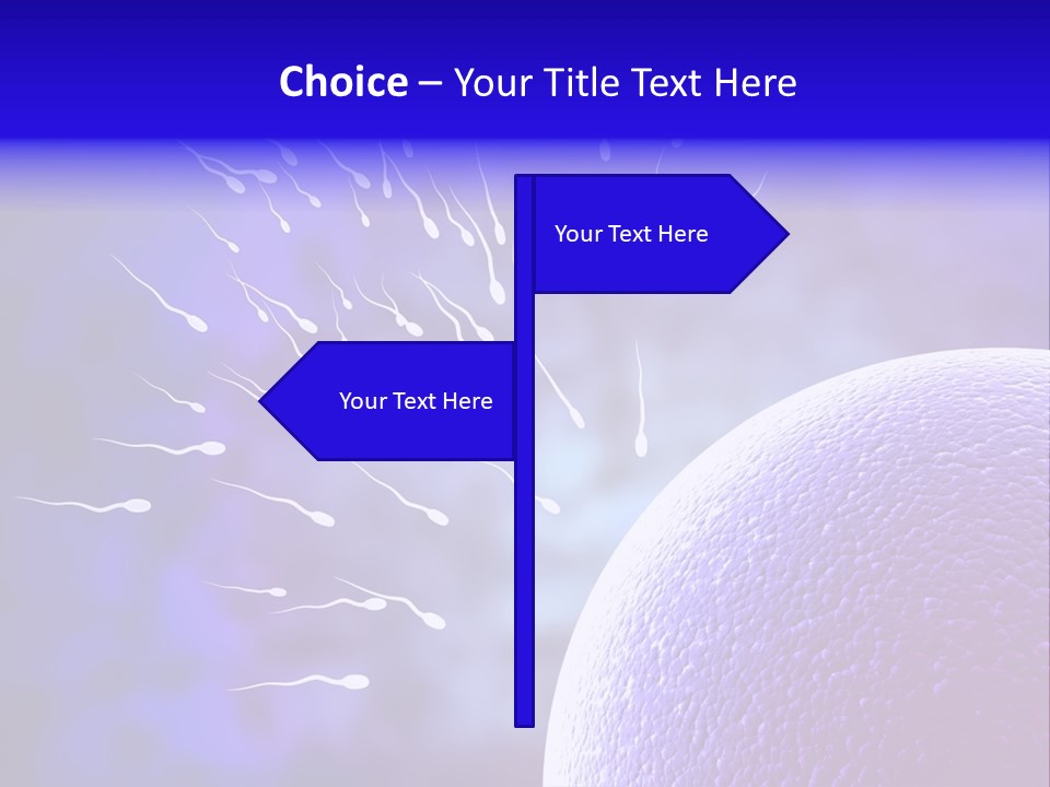 Cell Birth Fertilisation PowerPoint Template