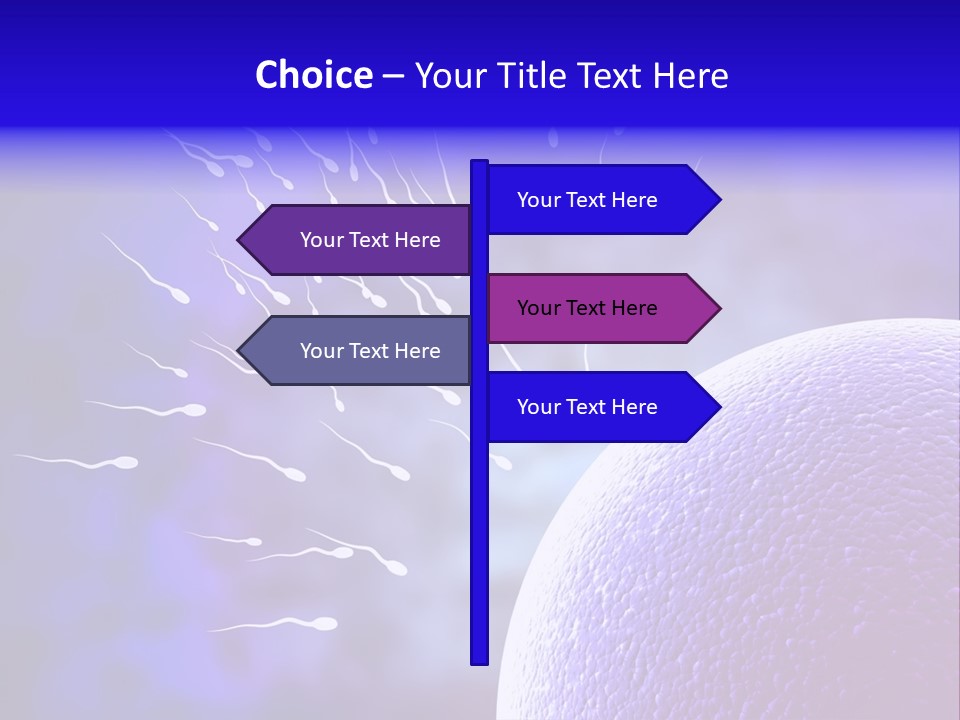 Cell Birth Fertilisation PowerPoint Template