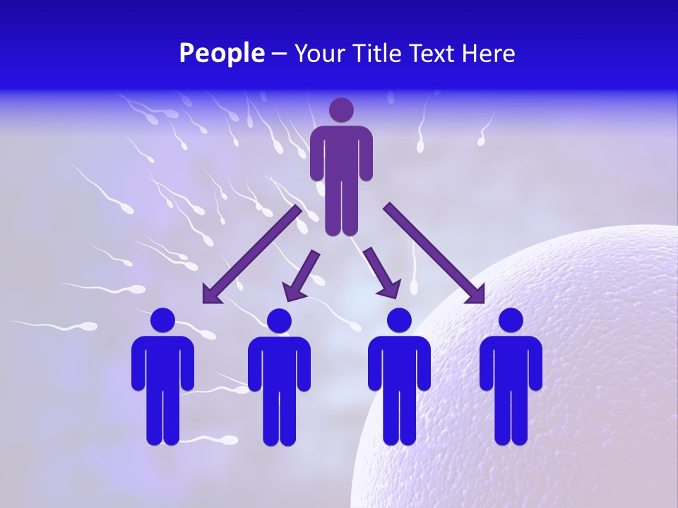 Cell Birth Fertilisation PowerPoint Template