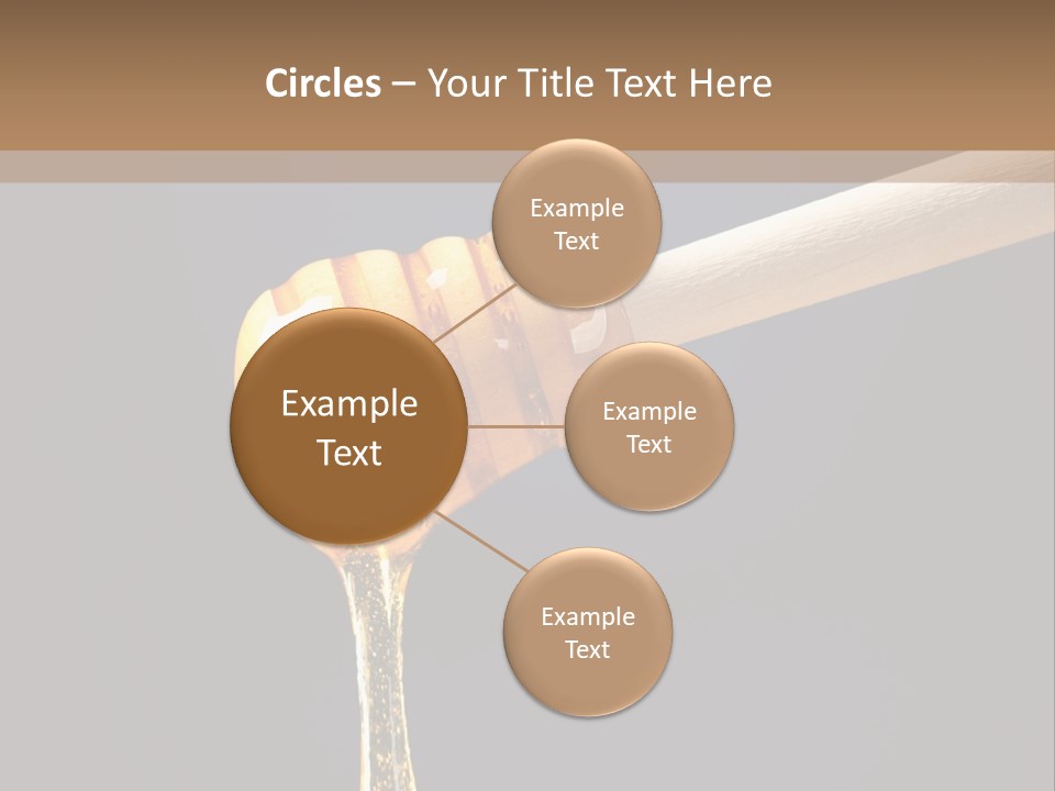 Still Life Square Transparent PowerPoint Template